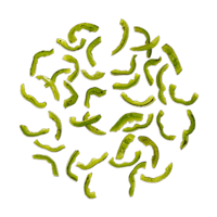 Bell pepper image