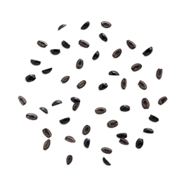 Black olive image