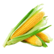 Corn image
