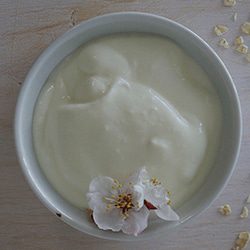 Mayonnaise sauce image